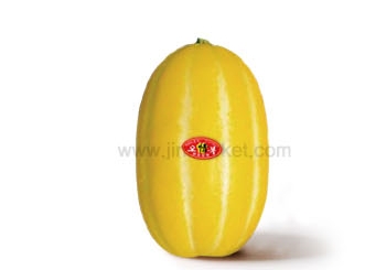 ��ƼĿ(����/��������)