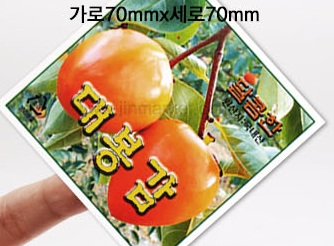 ��ƼĿ(������/�����)