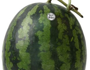 ��ƼĿ(������/������)